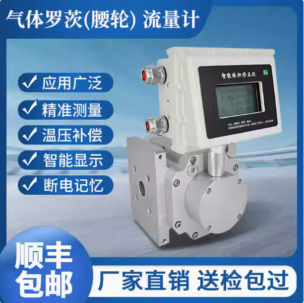 LLQ-80氣體羅茨腰輪流量計(jì)...