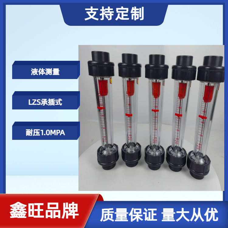 LZS-15塑料管浮子流量計